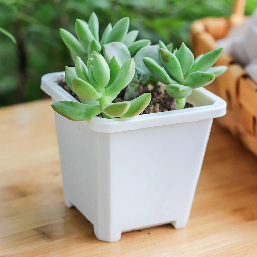 

6 Pcs Thickened Square Flower Pot Durable Plastic Plant Containers Balcony Office Gardening Plant Pots Rose Planter Small Plants