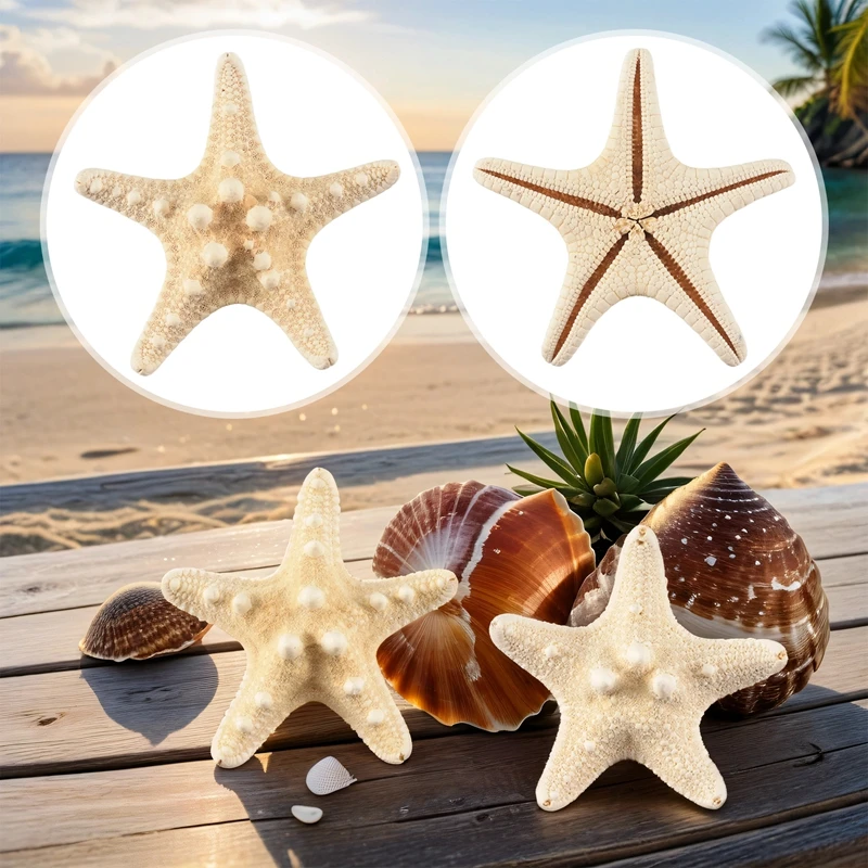 5Pcs/Lots Crafts White Bread Sea Shell Starfish, Fashion Home Decorative Handicrafts