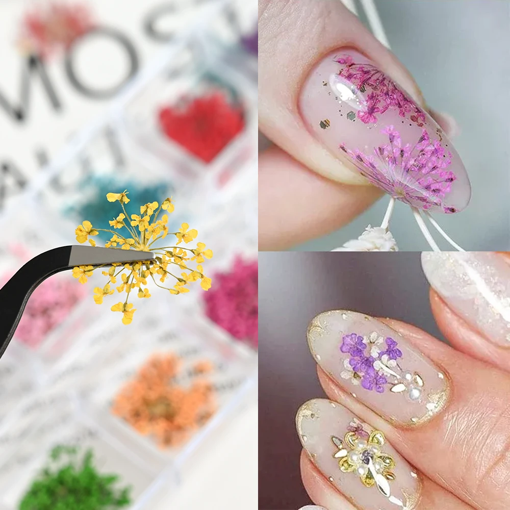 12 Colors Dried Flowers Nail Art Decoration 3D Natural Floral Colorful Dried Flower Charms Nail Decal DIY Craft Manicure Decorat