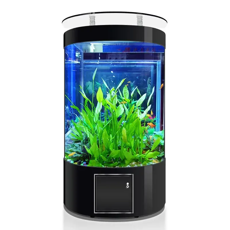 

Living room common semicircular floor standing glass fish tank beautiful semicircular fish tank