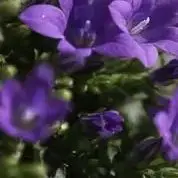 

28V 6.0Ah For Milwaukee M28 Battery Li-Ion Replacement Battery For Milwaukee 28V M28 48-11-2830 0730-20 Tool battery