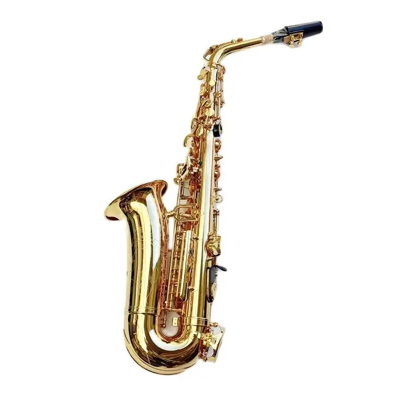 62 Professional Alto Drop E Saxophone Gold Alto Saxophone with Band Mouth Piece Reed Aglet More Package mail