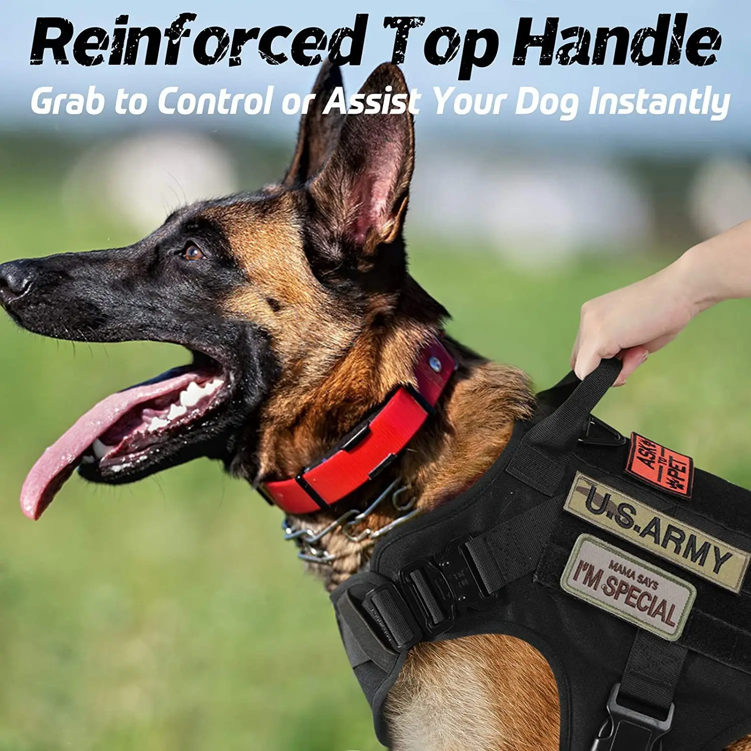 Big Dog Collar Accessories Leash Harness Chest Harness Pets Dogs Harnait Pet Straps Products Clothes Puppy Lead Things Apparels