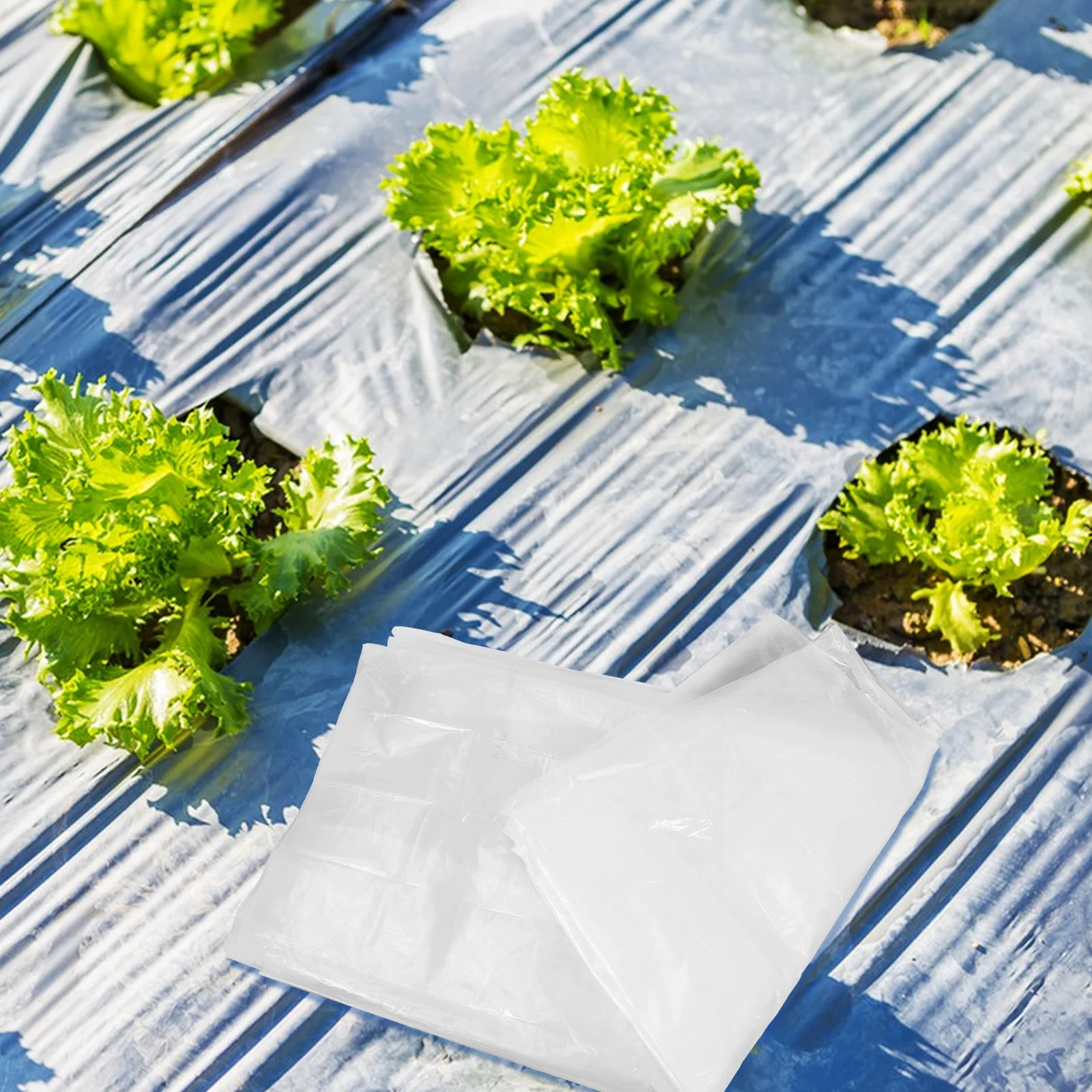 طبقة بلاستيكية شفافة شديدة التحمل مقاومة للماء والأشعة فوق البنفسجية لغطاء حماية نباتات حديقة الدفيئة