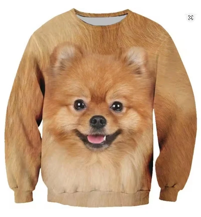 Cat Dog House 3D Print Hoodie Men Kids Oversized Long Sleeved Sweatshirt Sportswear Spring Autumn Fashion Round Neck Pullovers