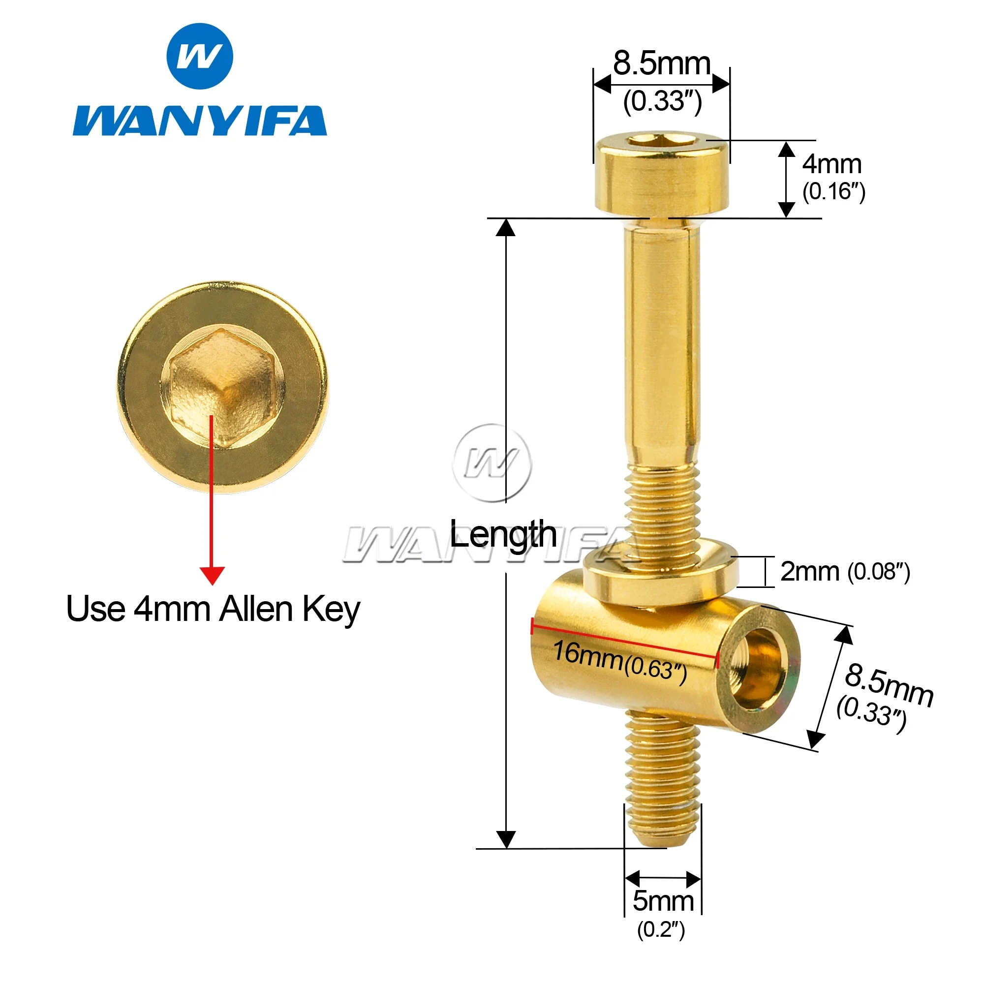 Wanyifa Titanschraube M5 x 30/40 mm Schrauben + Muttern für Thomson Sattelstütze MTB Rennrad Sattelstütze Sattel fest