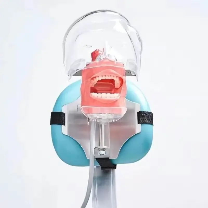Simulated Tooth Preparation Practice Head Mold Dental Oral Cavity Tooth Model Examination Instrument Isolated Tooth Silicone Rem