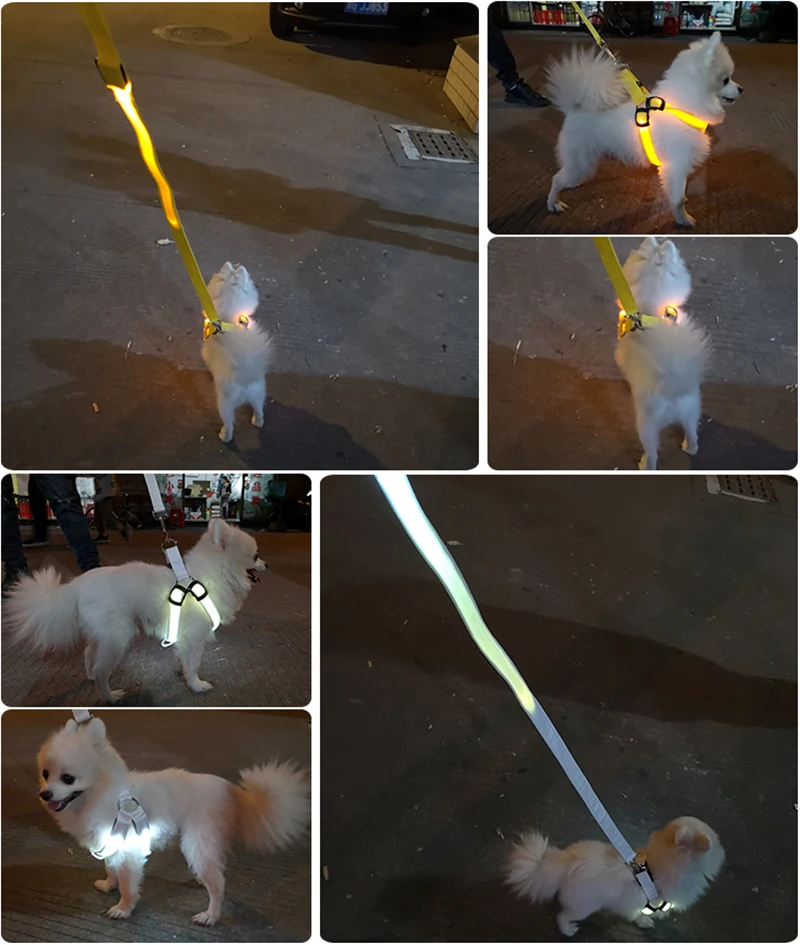Einstellbare led hunde geschirr usb wiederauf ladbare blinkende nacht sicherheit keine zug halsbänder harness für kleine mittlere hunde haustiere arnes perro – Detail 5