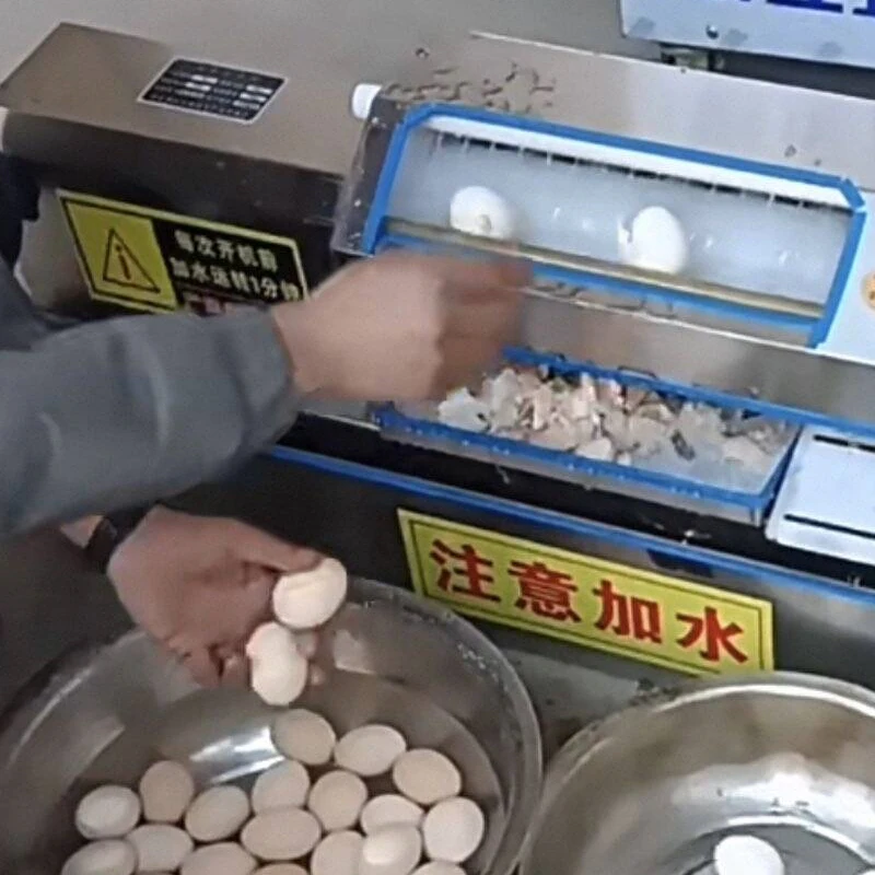 

Small Restaurant Use Quail Egg Peeling Machine,Quail Eggs Sheller