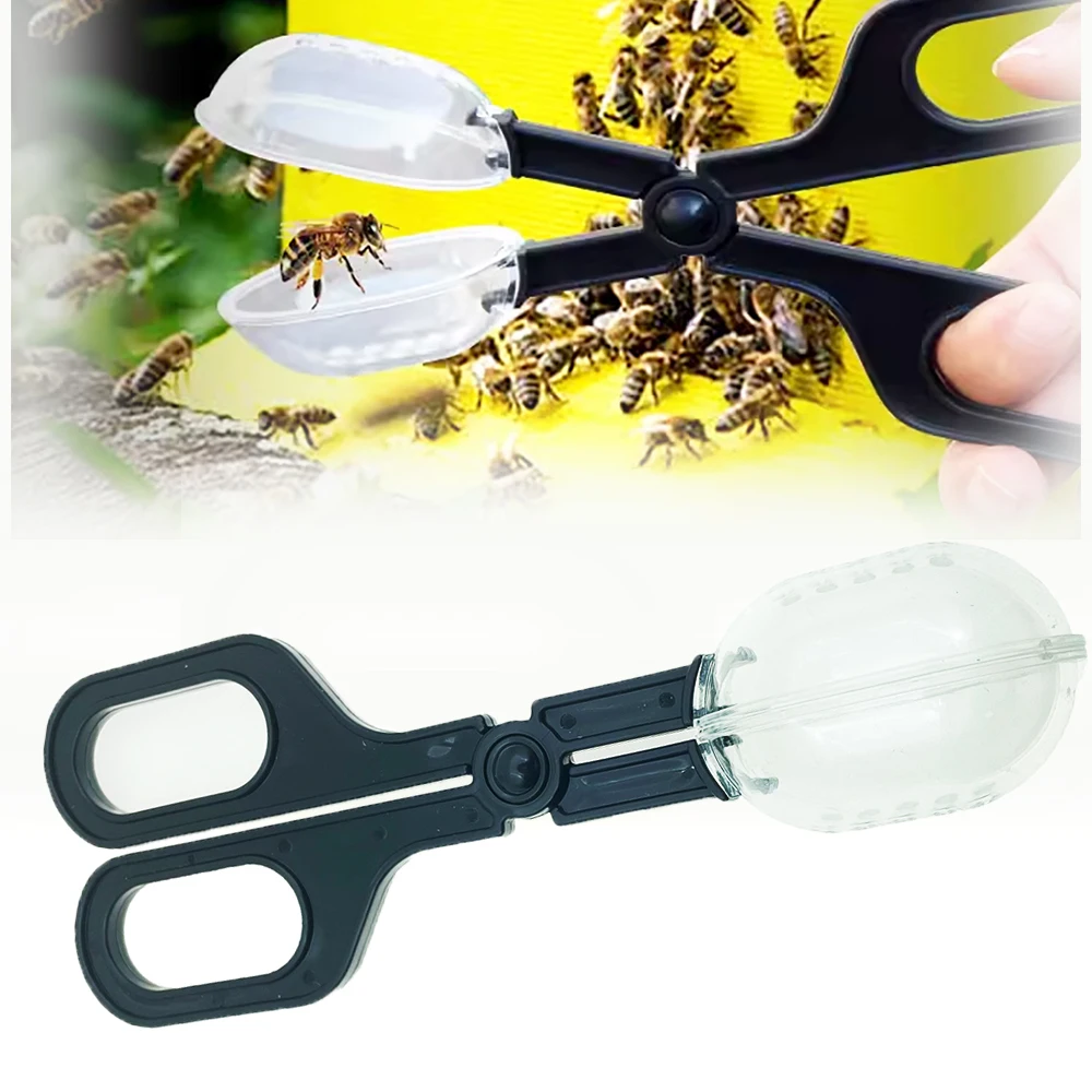 

2pcs/5pcs/10pcs Queen Cages Pick Up Bug Insects Catcher Handy Scooper Scissors Tongs Tweezers Multifunctional Bug Collection