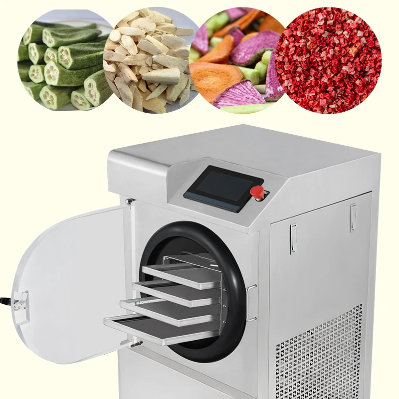 Vacuum freeze-drying equipment for household fruits and vegetables