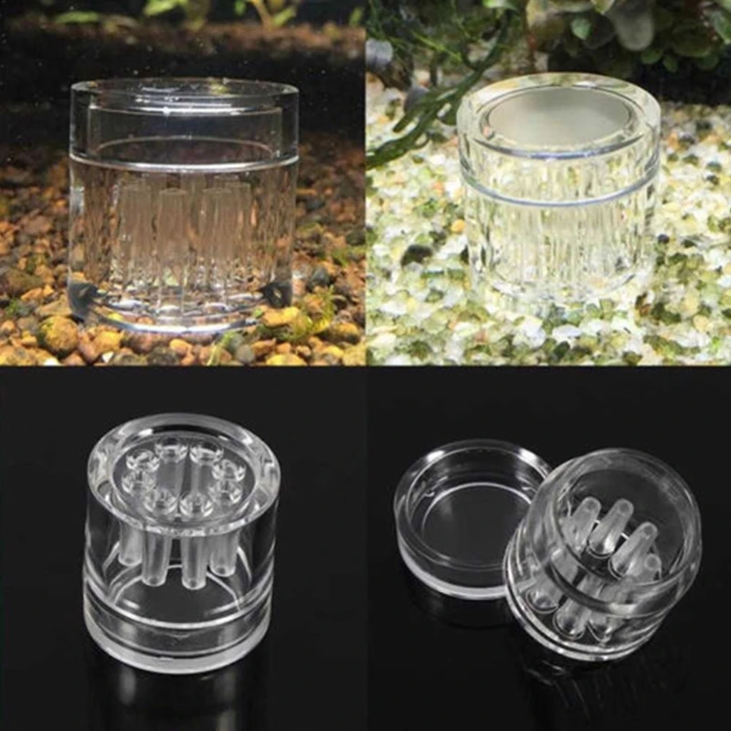 F92B TRAP para aquário 8 buracos Clear Acrylic Mini lata para camarão vermelho cristalino