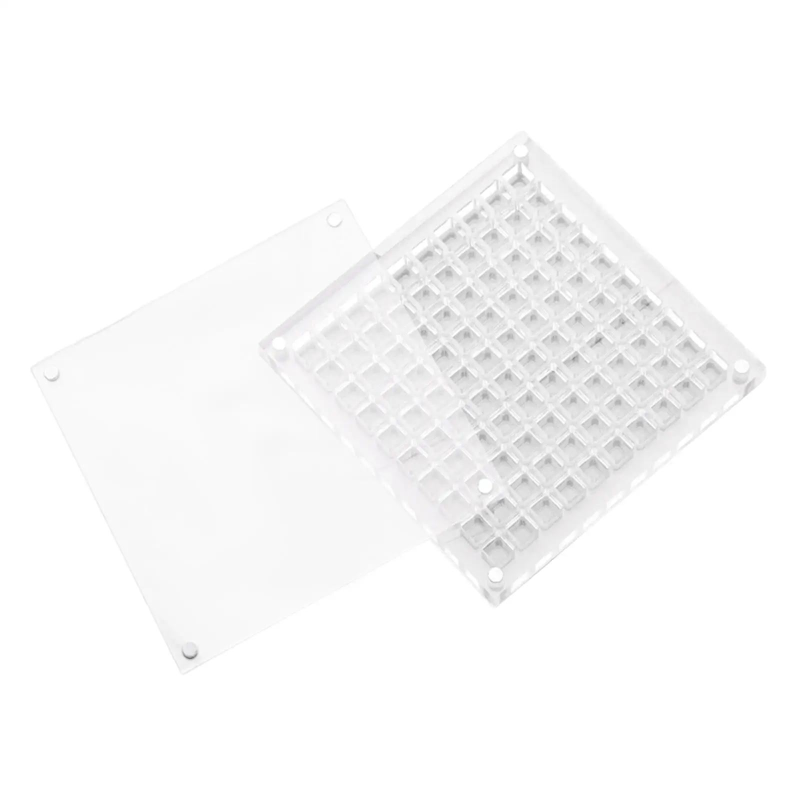 6x Caja organizadora de diamantes de imitación con diseño de concha para suministros de decoración de uñas