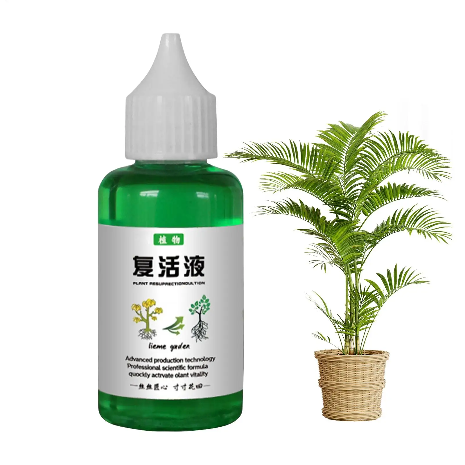 Plant Revitalizer Resurrection Liquid Fertilizing Liquid Concentrate Fertilizing Liquid Concentrate Plant Promotes Growth 50ml