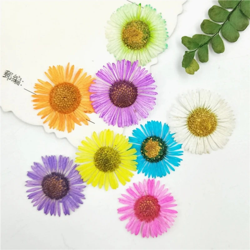 

Small tarpaulin, chrysanthemum, true flower, dried flower, pressed flower, true flower, facial makeup, herbarium, glue dropping