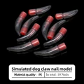 In total 10 nails