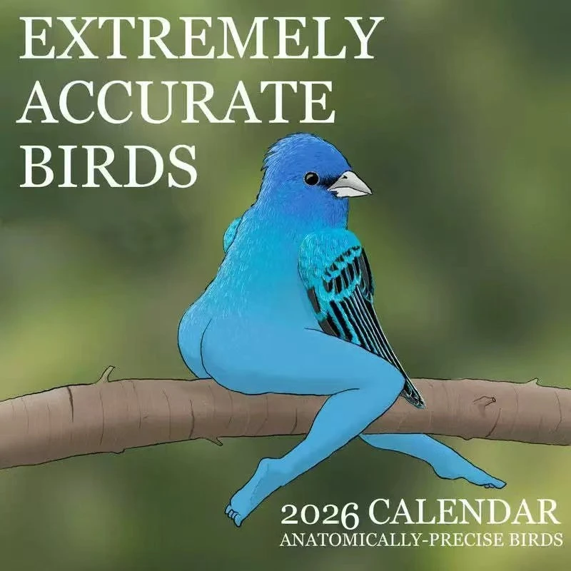 CALENDAR OF EXTREMELY ACCURATE BIRDS2026YEAR Illustrated Wall Art For Home Table Decor Nature Lovers Birdwatchers Xmas Gift