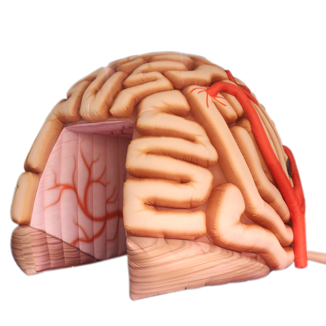 

Надувная палатка-туннель для мозга, медицинские выставки, реклама, большая надувная копия модели мозга для учета общений, медицинский дисплей