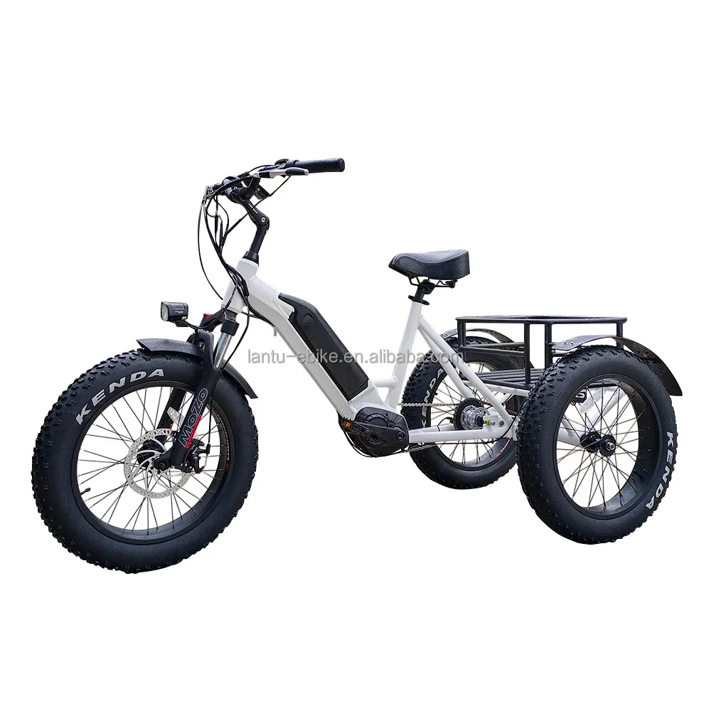 3 Wheel Mid Drive Cargo Electric Bike Tricycle for Adult