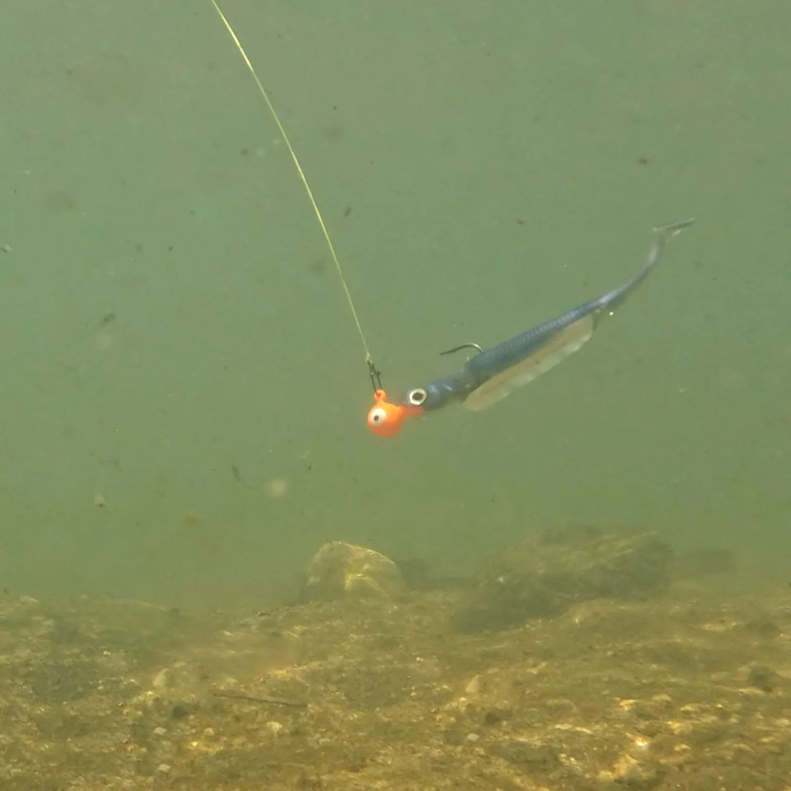 5/6 Stück Weiche Plastik-Angelköder mit Paddelschwanz, 70mm-120mm Schwimmköder für Barsch-Angeln, Drop-Shot-Rig – Detail 13