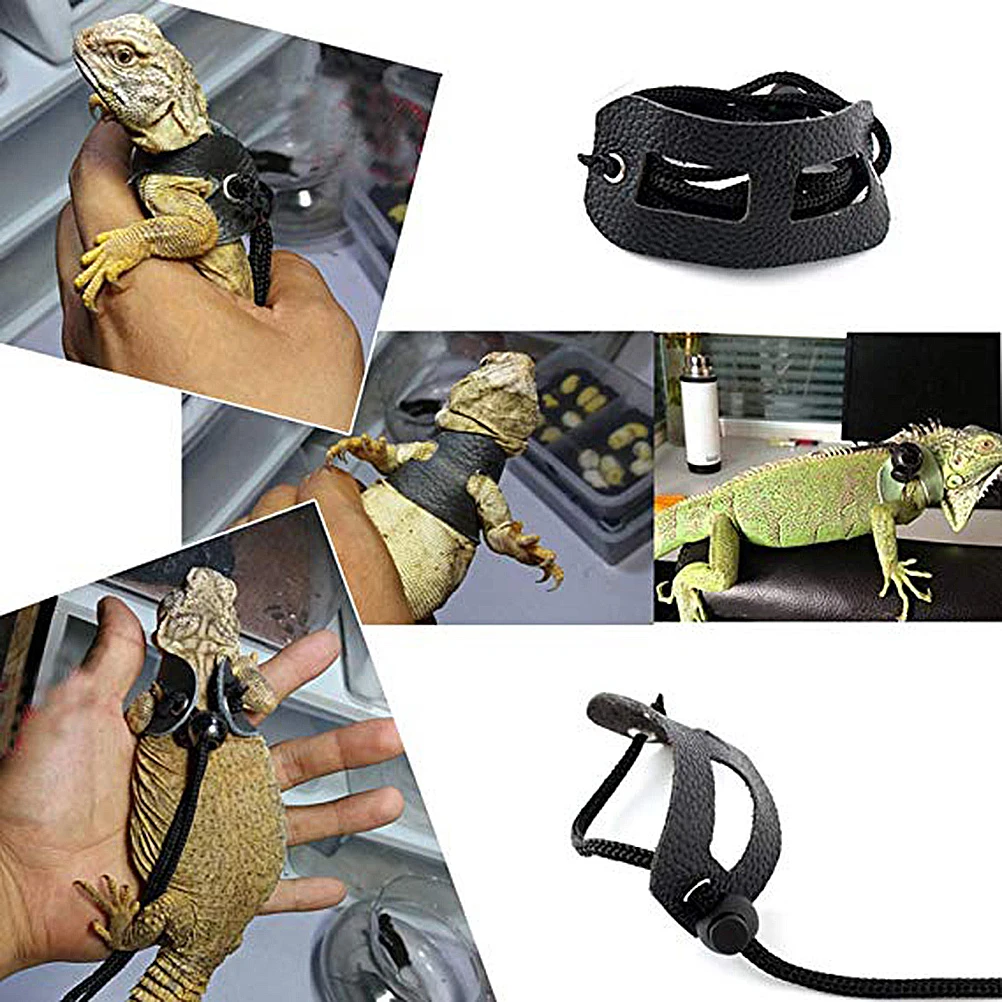 

2 Set Lizard Harness Pet Chest Leash Without Wing Reptile Accessories Gecko Tank Safe Durable Long Lasting Use Easy Storage