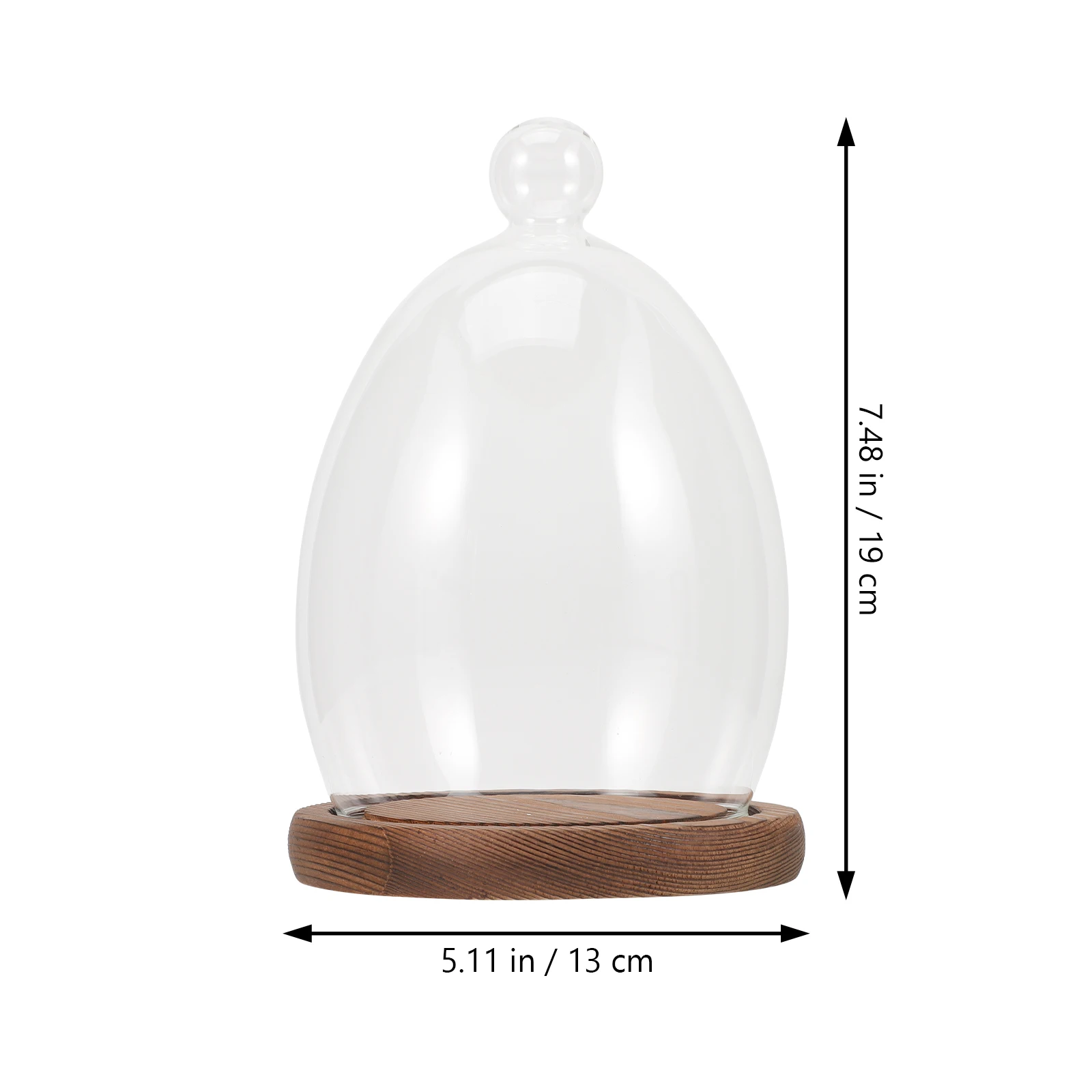 

Glass Dome With Wood Base For Preserved Flowers Micro Landscape Display Desktop Decor Creative Flower Craft