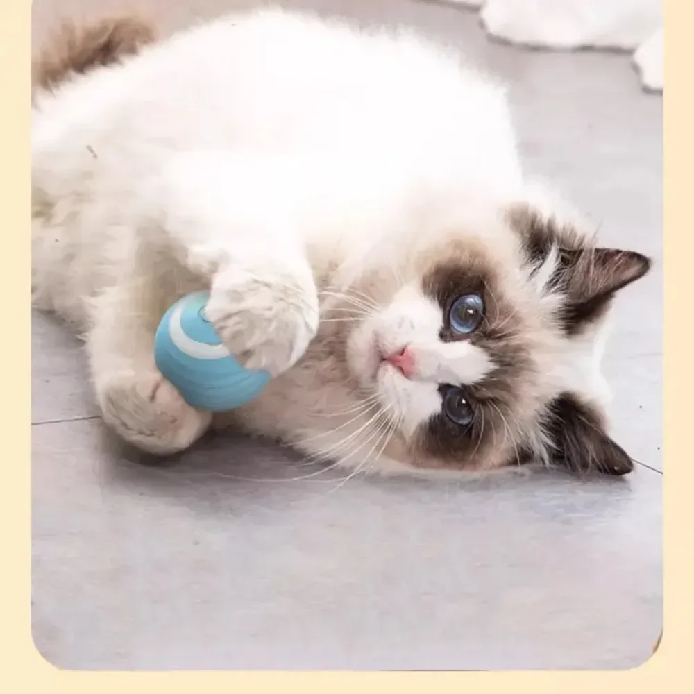 Interactive Cat Toy Ball Roll Pet Things Stuff Products Offer Supplies Games Kitten Accessories Katzen Gadgets Goods Articles