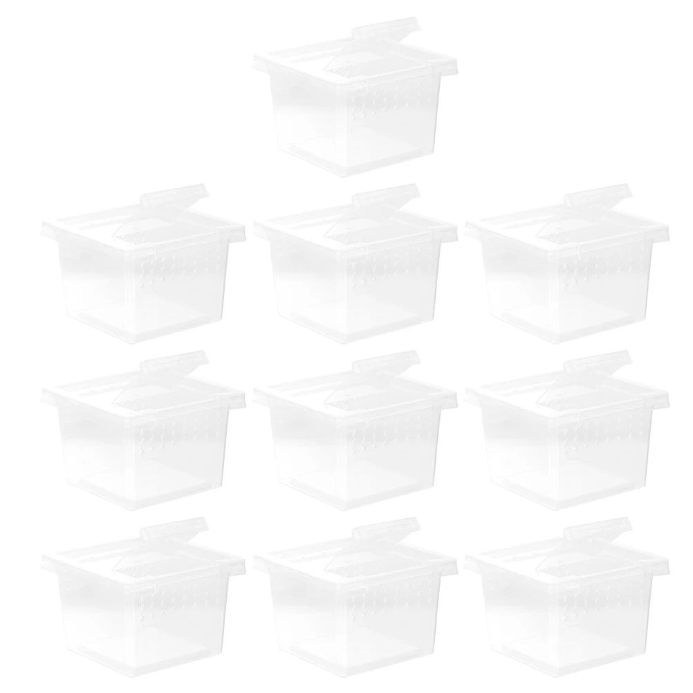 

10pcs Insect Feeding Box Transparent Reptile Enclosure Breathable Durable Cage for Spiders Lizards Geckos Clear