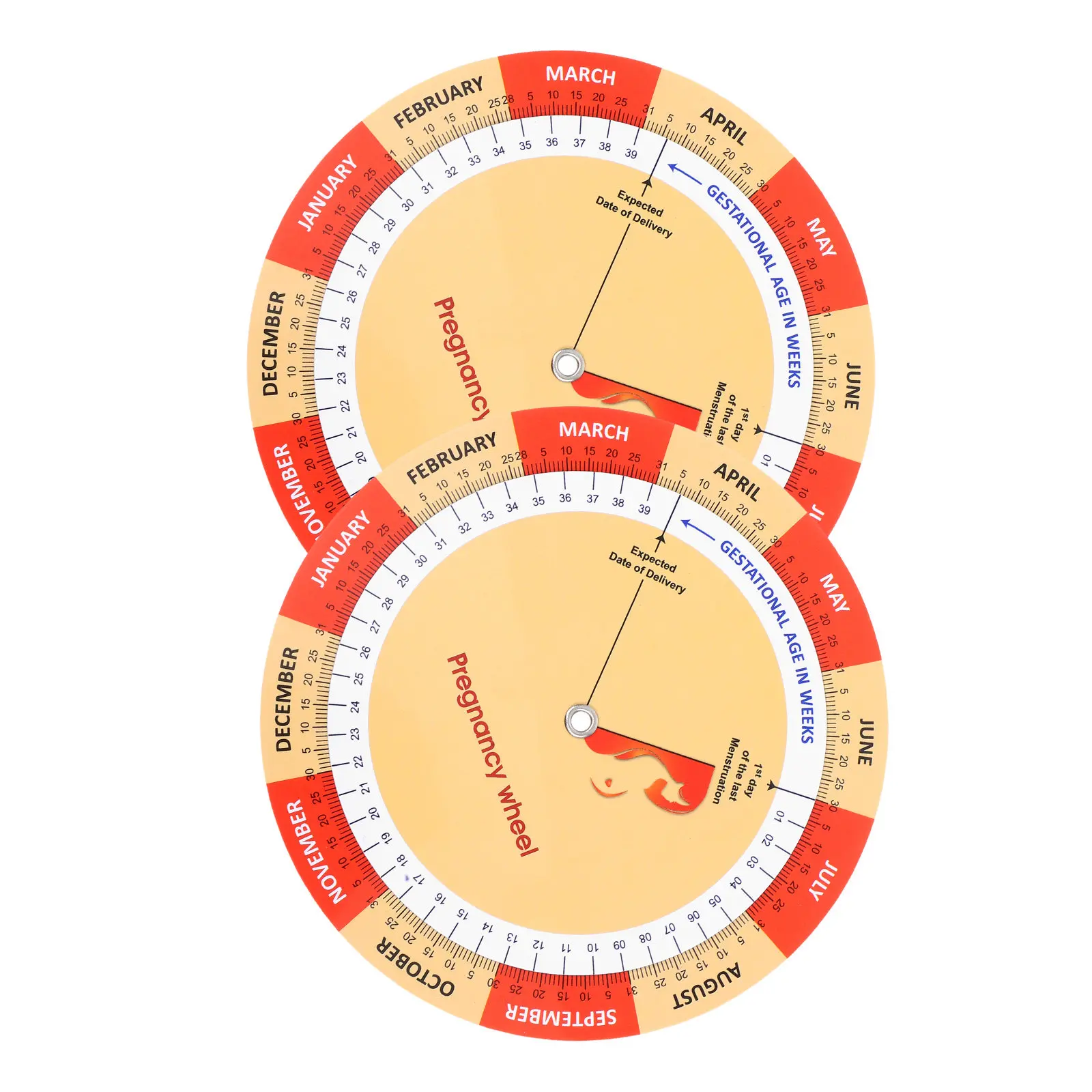 2Pcs Pregnancy Tracker Chart Color Printed Wheel Paper Tool for Expecting Moms Fetal Development Pregnancy Guide