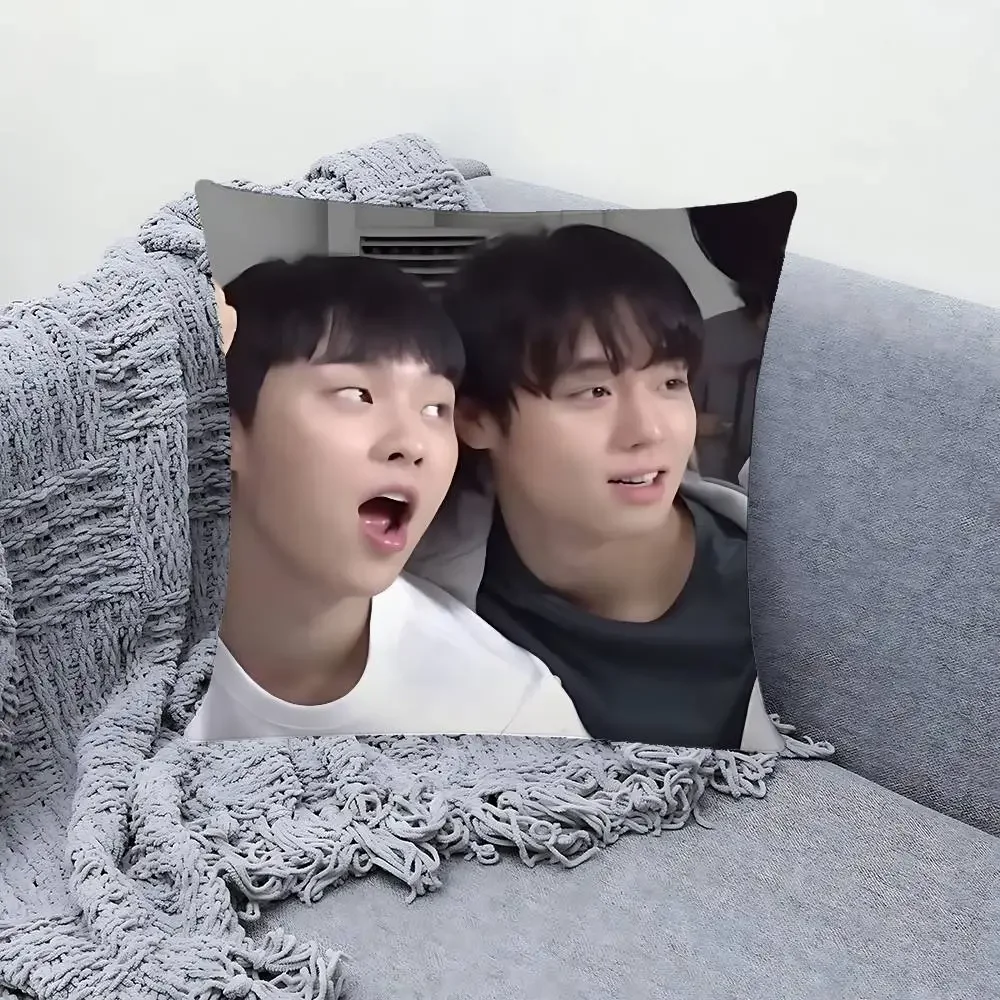 W-weak Hero Class 1 Pillow Case Sofa And Living Room Decorative Cushion Covers Dust-proof And Mite-proof Invisible Zipper