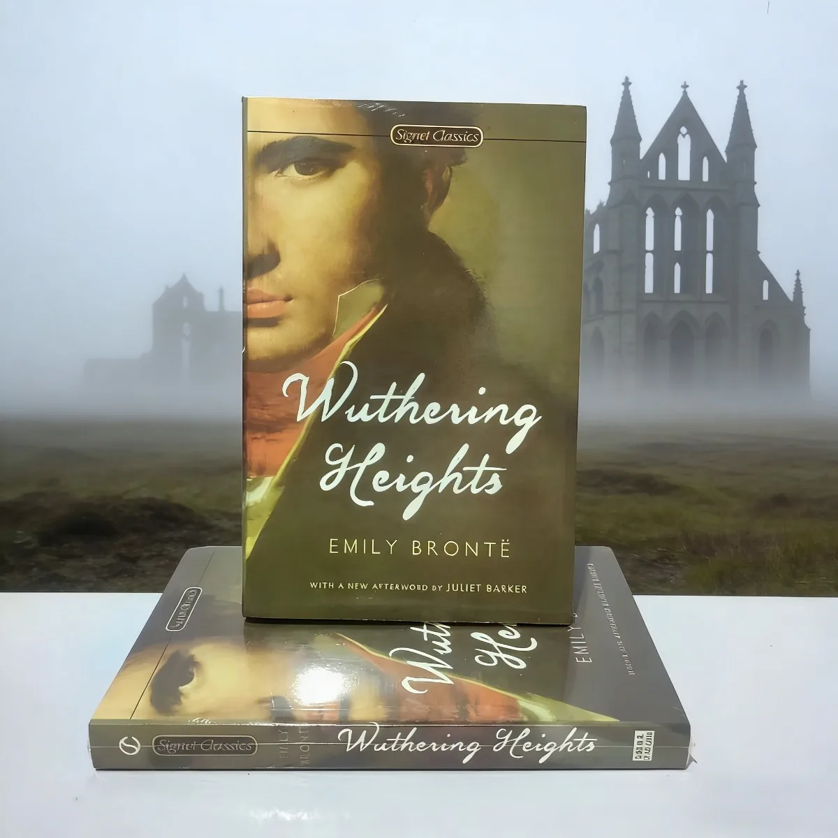 

Wuthering Heights By Emily Brontë World-Famous Literary Masterpiece English Version Classic Gothic Romance Novel Classic Reading