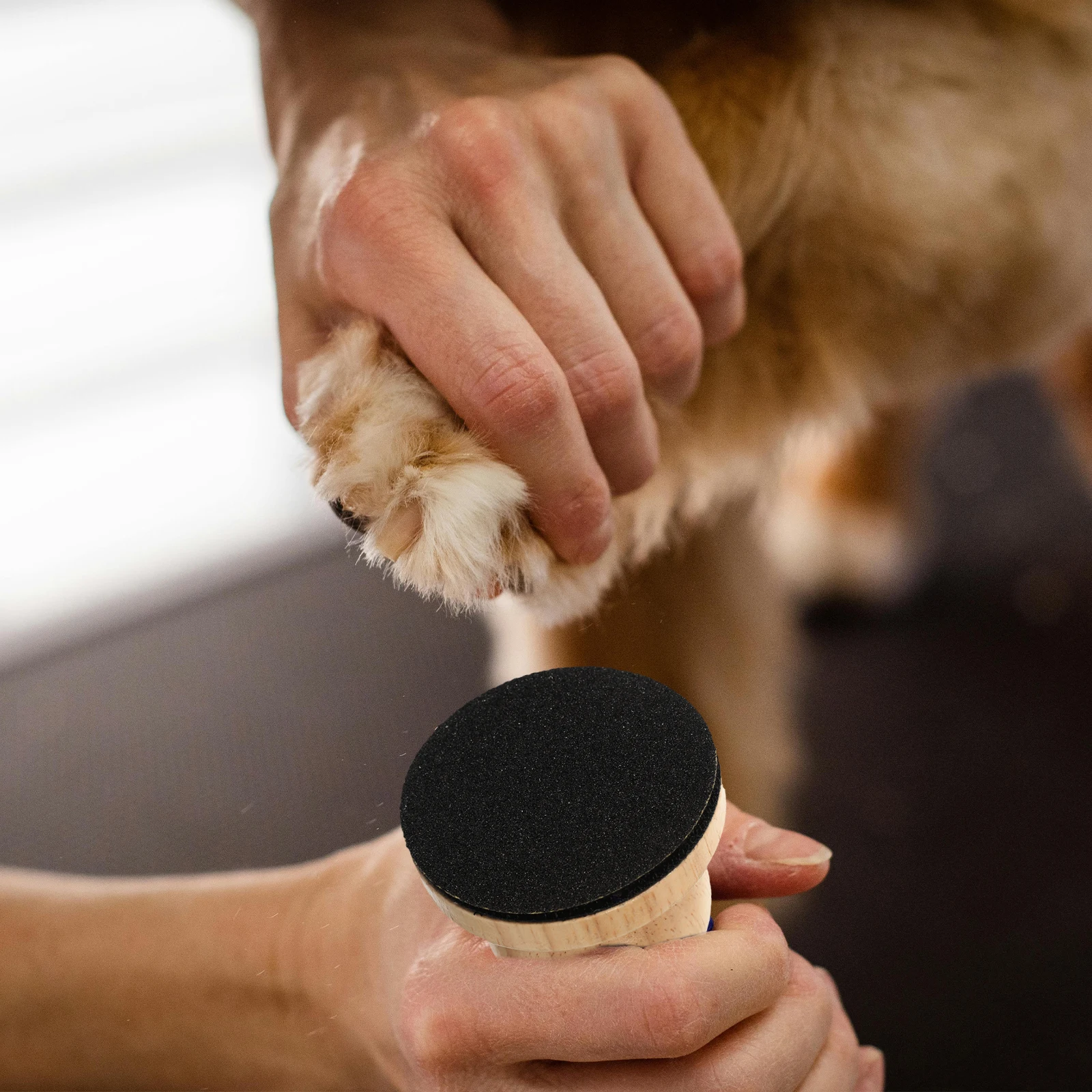 

Dog Set Wood Handle Puppy Trimming Tool Portable Grinder Pet Accessory Nail File For Dogs Dog Nail Grinding File