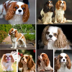 5D DIY Diamond Painting Cavalier King Charles Spaniel Diy Full Mosaic Manual Arts Rhinestone Embroidery Cute Pet Wall Decor