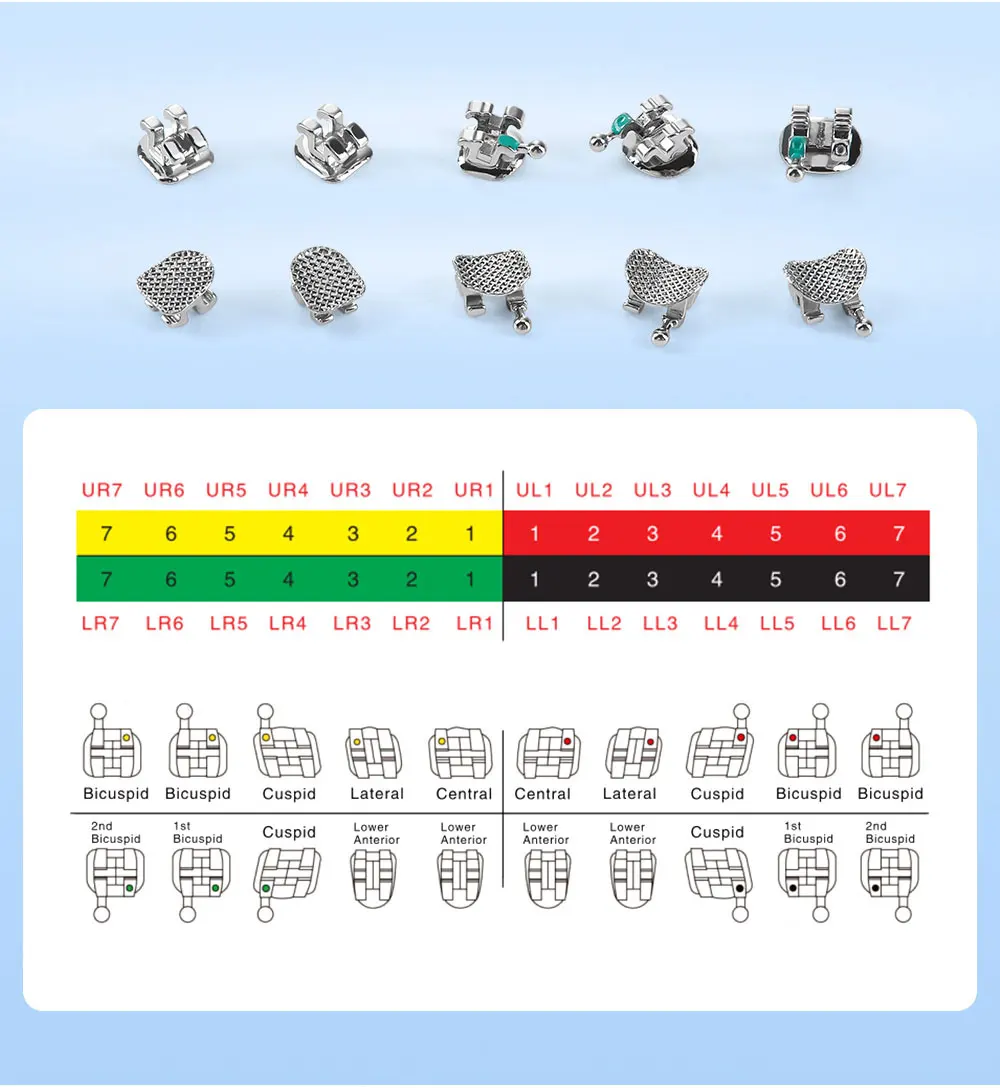 10 Packungen AZDENT Zahnspangen Kieferorthopädische Zahnspangen Plus Metall Mini Standard Mesh Base Roth/MBT 0,022/0,018 Haken 3-4-5 20 Stück/Packung – Detail 13