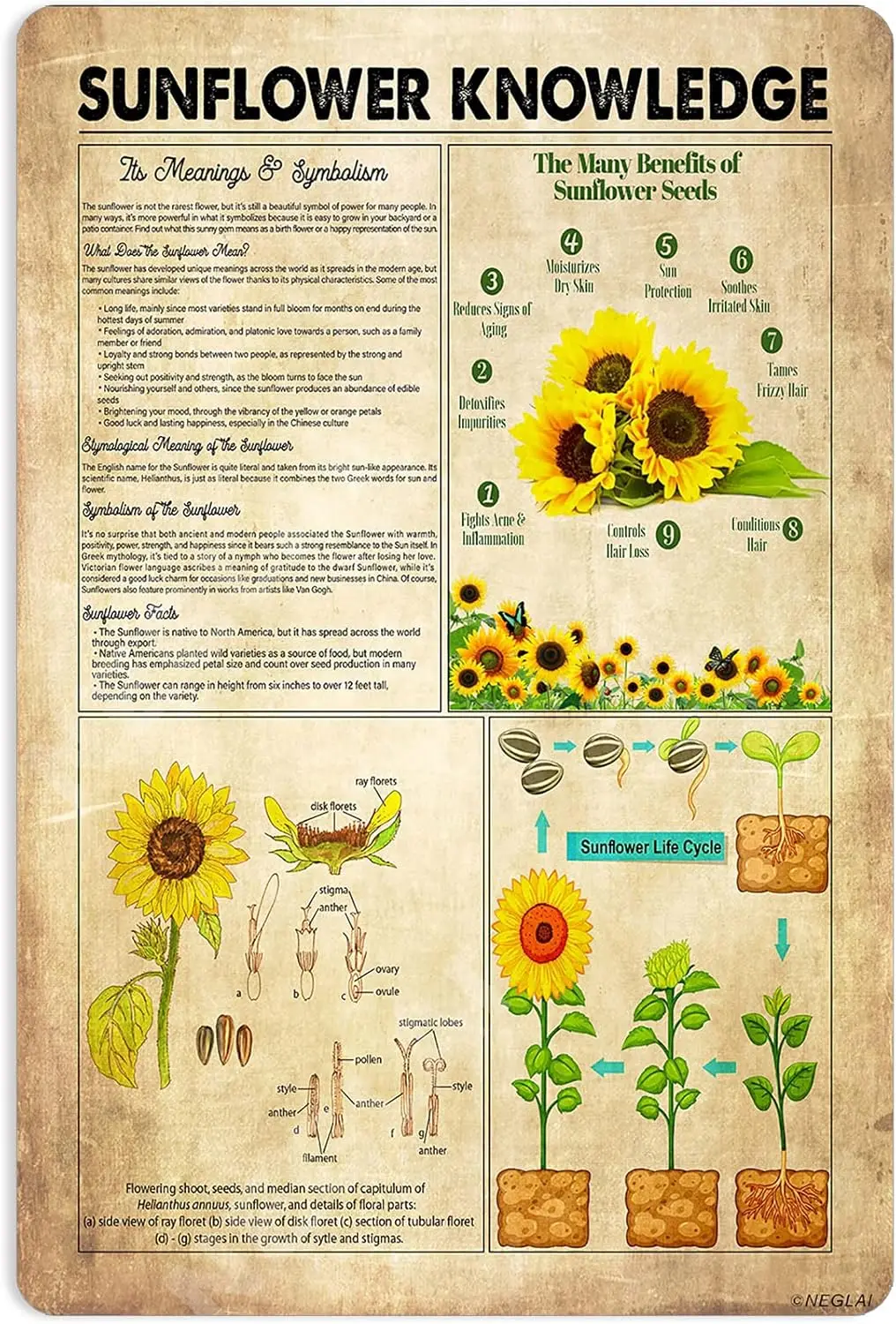 Sunflower Knowledge Tin Sign Cottagecore Vintage Decor Bedroom Wall Art Room Home Poster Garden Metal Sign 16x12 Inches