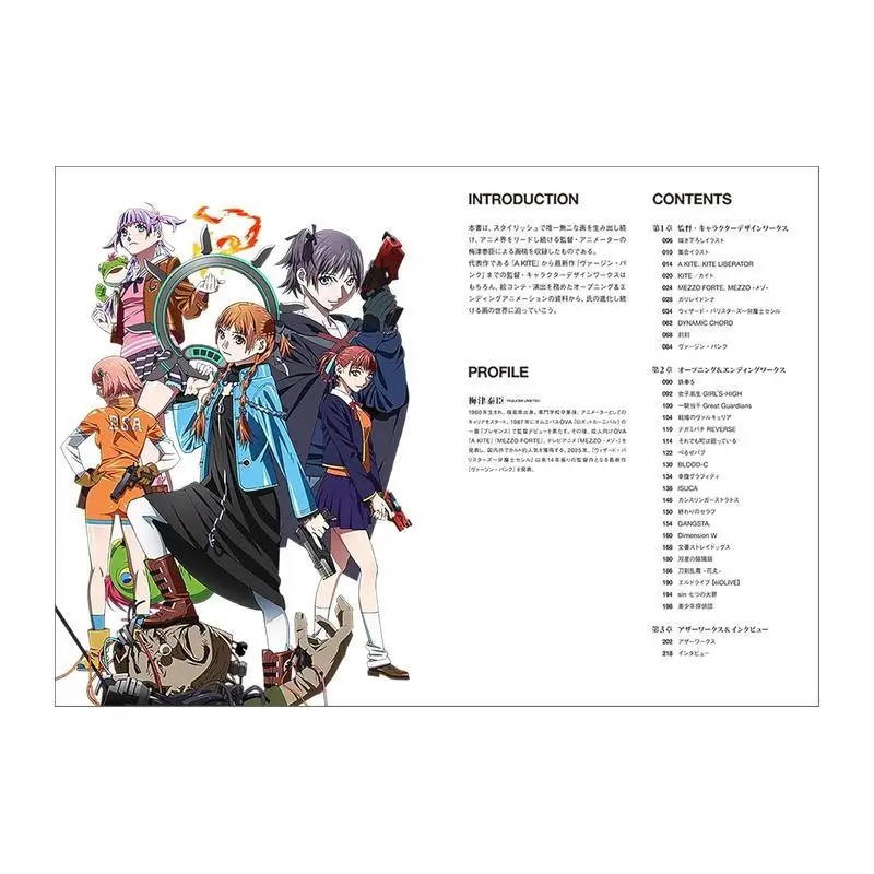 UNFINISHED Yasuo Umezawa Anime Art Book Japanese Import Animation Original Art Illustration Collection