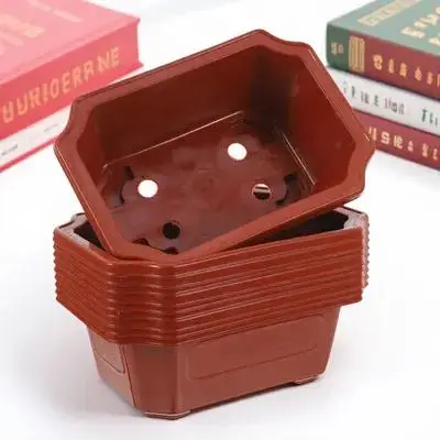 

10 Pcs Bonsai Pot Plant Pots Indoor Training Bulk Rectangular Flowerpot Red Office