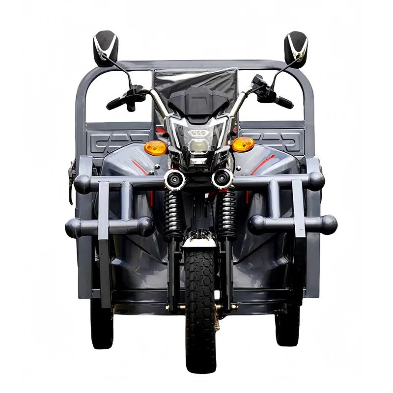 Electric Tricycle Tank Dump Household Pulling Goods Climbing MountainTruck