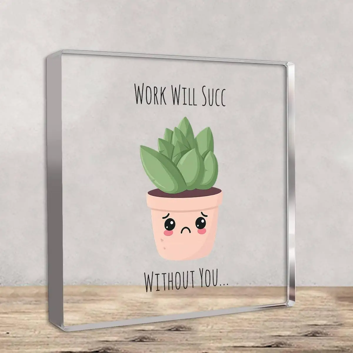 HANYKEY Funny Acrylic Desk Decor 