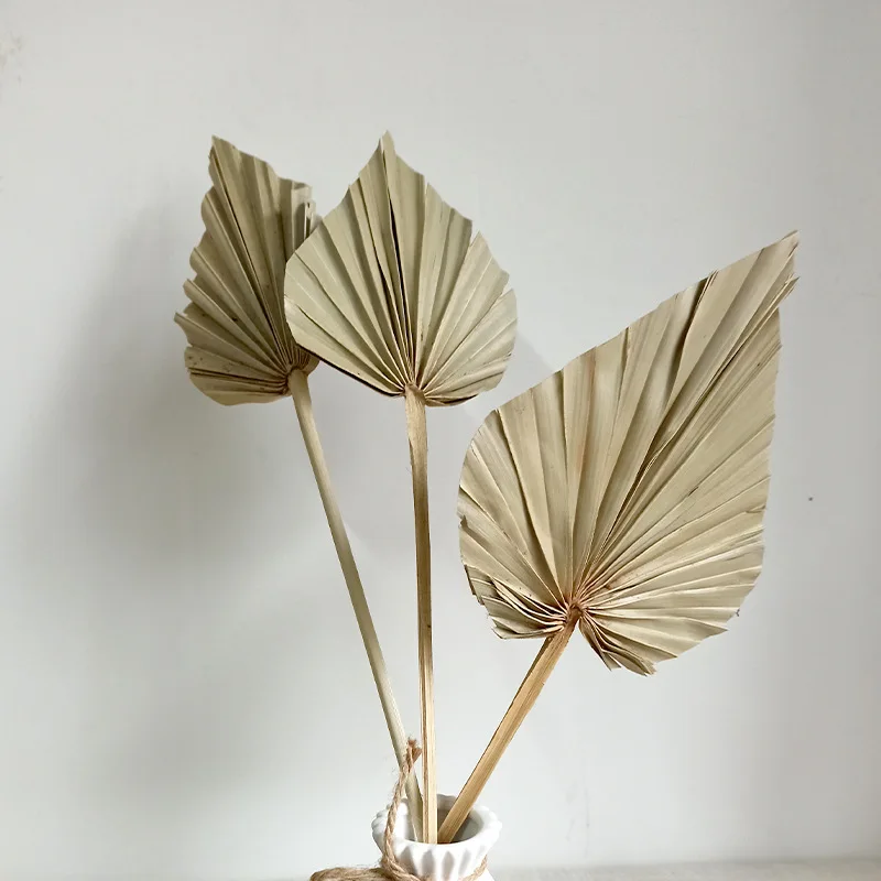 Palm Fan Leaf Dried Flower Mini Palm Leaves In Different Shapes Pampas Grasses Branches DIY Wedding Decorations Home Decor