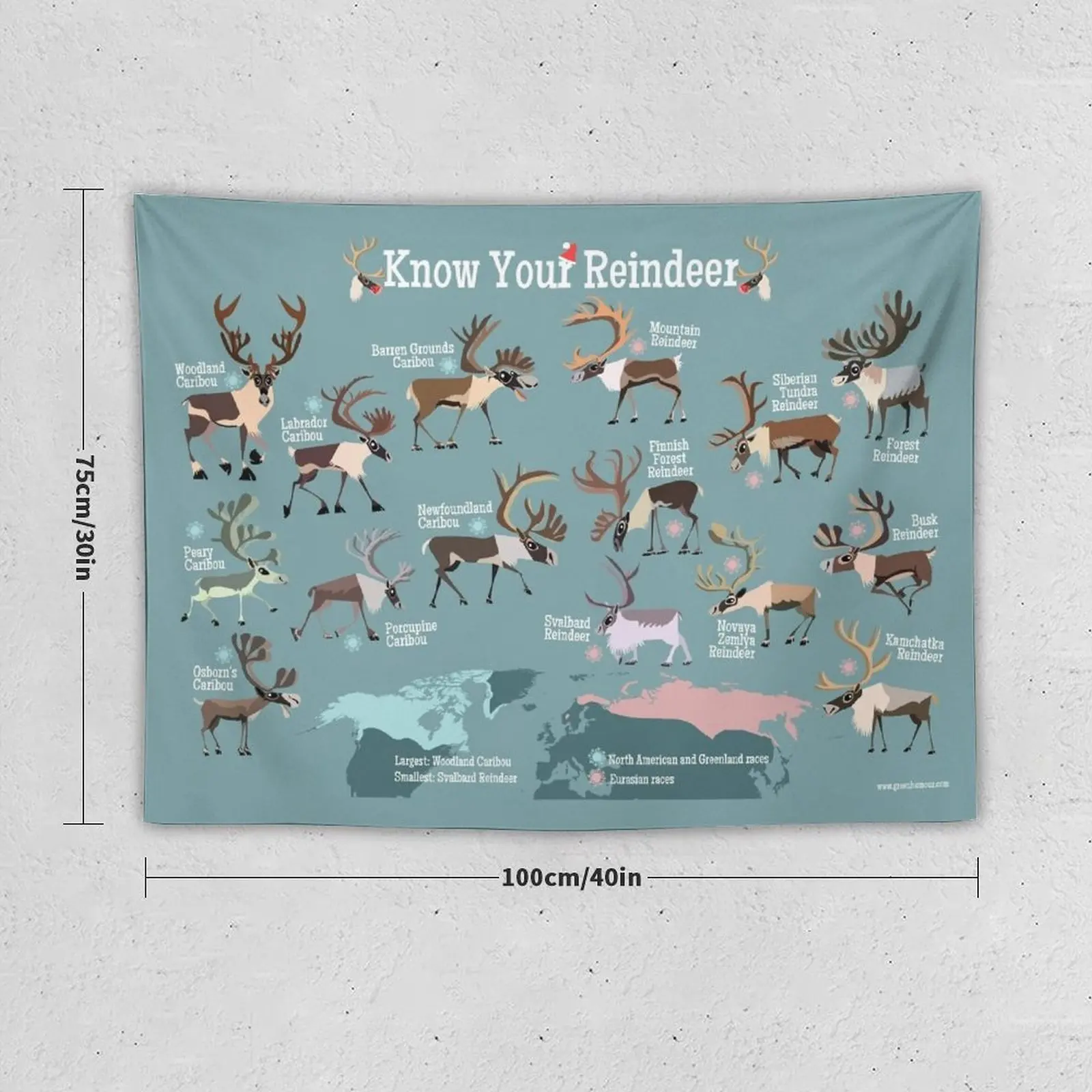 New Know Your Reindeer Tapestry Room Decor Aesthetic Tapestrys Custom Tapestry Outdoor Decor