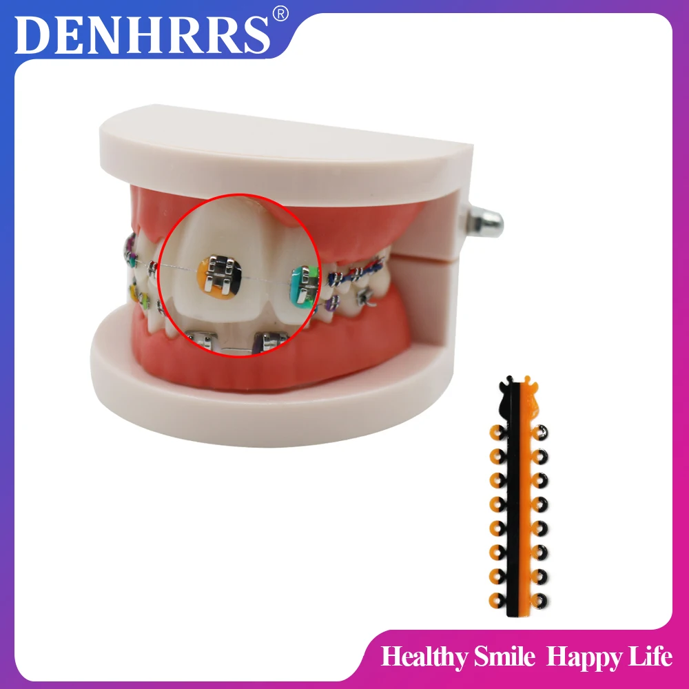 Two Tone 320Pcs/Box 20Sticks Dual Color Dental Orthodontic Ligature Tie Elastic Rubber Ties