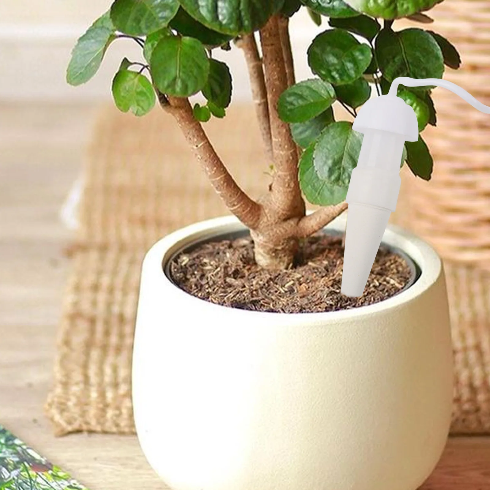 

Home Gardening Automatic Watering System Automatic Indoor Plant Irrigation Irrigation System Adaptable To Different Plant Needs