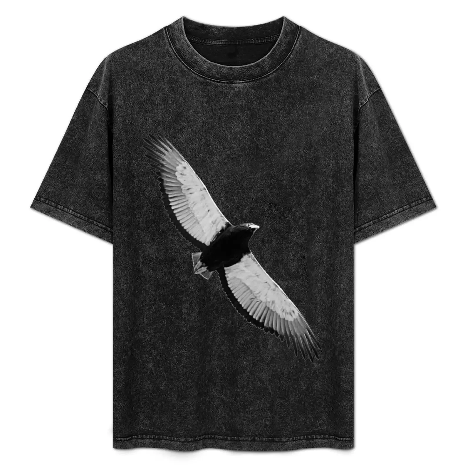 

African Bateleur T-Shirt black cotton t-shirt plain for man package anime t shirts for man T-Shirt