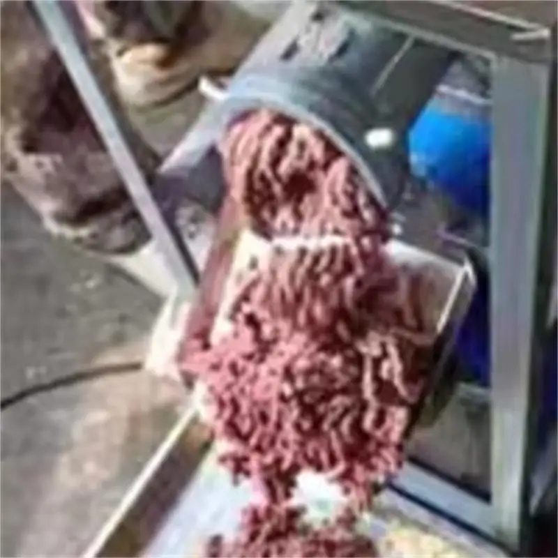 Electric Meat Grind…