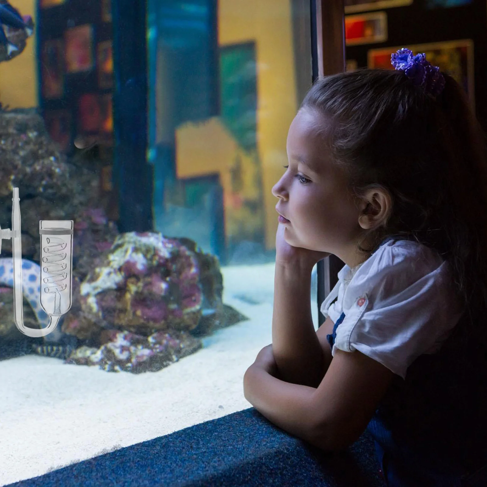 

1Set Fish Tank Co2 Diffuser Glass Health Hydrophytes Easy Install Suction Cup Compact Design