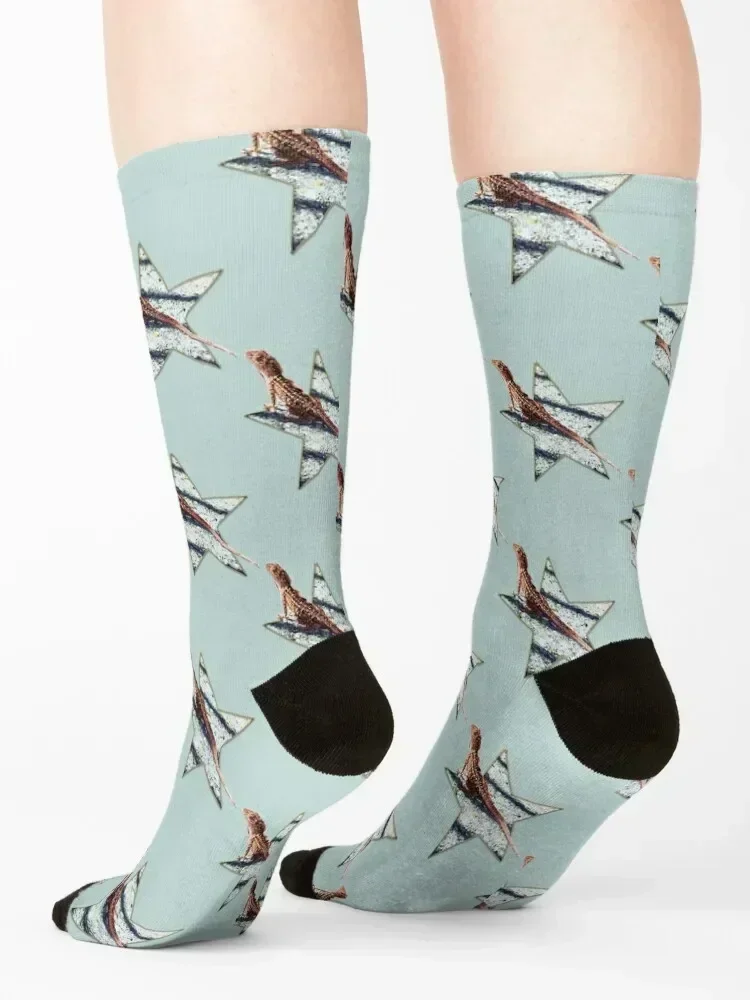 The Lizard Socks Novelties football halloween hiking Men Socks Women's