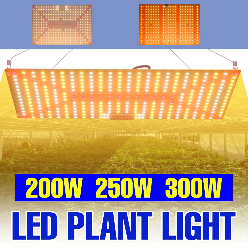 

300W LED Full Spectrum Grow Light 100-277V Quantum Board Plant Fill Lights Greenhouse Tent Vegs Fruit Seeds Hydroponic Lighting