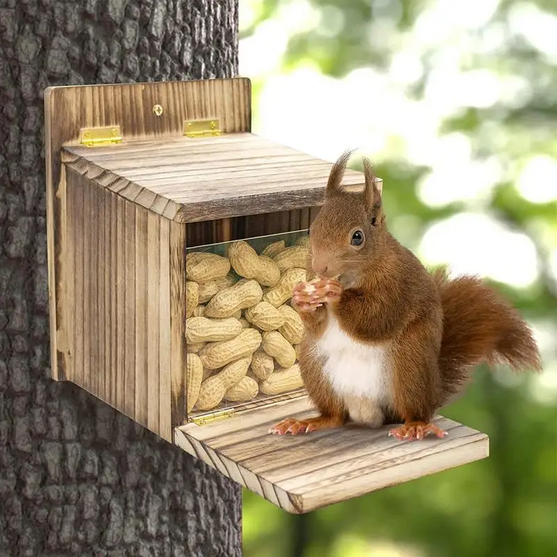

Squirrel Feeding House Outdoor Bird Feeder Stations Cute Shape Table Decoration For Courtyard Patio Fence Tree Garden