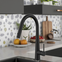 Modern Design Single Hole Kitchen Faucet with 3-Way Handle Stainless Steel Tap for Sink Cold Hot Pull Out Spray for Bathroom